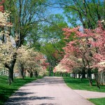 IMOLA 2012: CHE PRIMAVERA!!! By MARIO ZACCHERINI